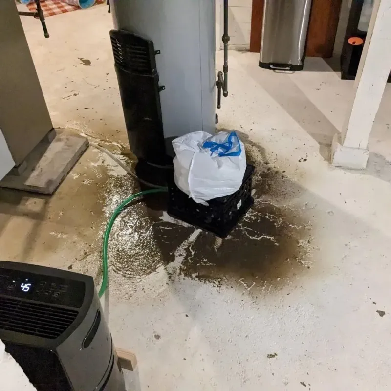 Sewage Backup Cleanup Service in Miller County, MO